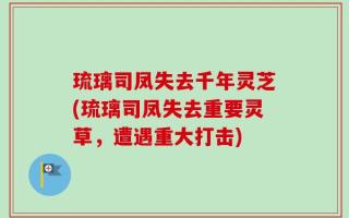 琉璃司凤失去千年灵芝(琉璃司凤失去重要灵草，遭遇重大打击)