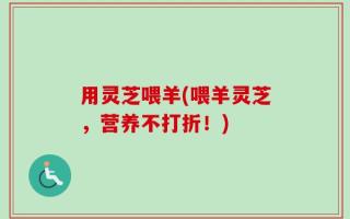 用灵芝喂羊(喂羊灵芝，营养不打折！)