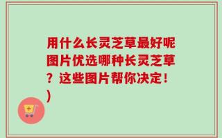 用什么长灵芝草最好呢图片优选哪种长灵芝草？这些图片帮你决定！)