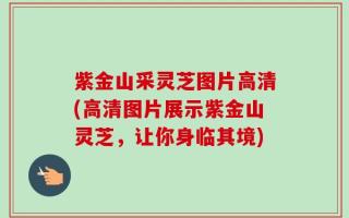紫金山采灵芝图片高清(高清图片展示紫金山灵芝，让你身临其境)