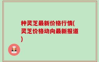 种灵芝最新价格行情(灵芝价格动向最新报道)