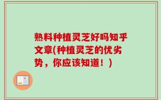 熟料种植灵芝好吗知乎文章(种植灵芝的优劣势，你应该知道！)