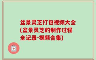 盆景灵芝打包视频大全(盆景灵芝的制作过程全记录-视频合集)