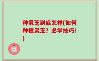 种灵芝到底怎样(如何种植灵芝？必学技巧！)