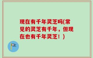 现在有千年灵芝吗(常见的灵芝有千年，但现在也有千年灵芝！)