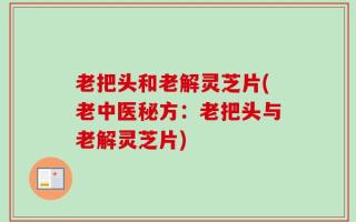 老把头和老解灵芝片(老中医秘方：老把头与老解灵芝片)