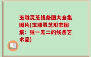 玉雕灵芝线条图大全集图片(玉雕灵芝形态图集：独一无二的线条艺术品)