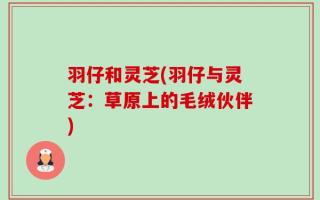 羽仔和灵芝(羽仔与灵芝：草原上的毛绒伙伴)