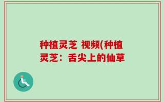 种植灵芝 视频(种植灵芝：舌尖上的仙草
