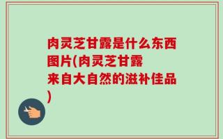 肉灵芝甘露是什么东西图片(肉灵芝甘露  来自大自然的滋补佳品)