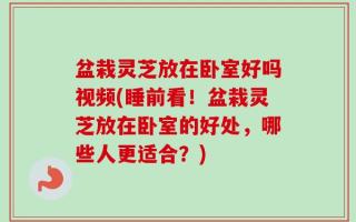 盆栽灵芝放在卧室好吗视频(睡前看！盆栽灵芝放在卧室的好处，哪些人更适合？)