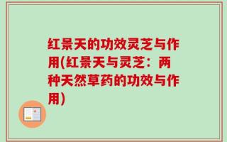 红景天的功效灵芝与作用(红景天与灵芝：两种天然草药的功效与作用)