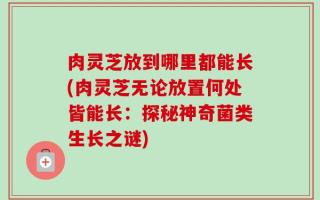 肉灵芝放到哪里都能长(肉灵芝无论放置何处皆能长：探秘神奇菌类生长之谜)