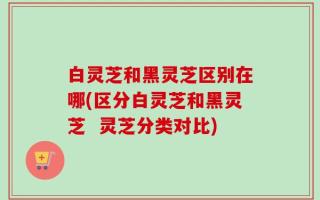 白灵芝和黑灵芝区别在哪(区分白灵芝和黑灵芝  灵芝分类对比)