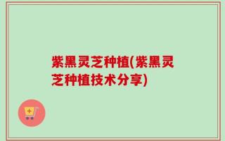 紫黑灵芝种植(紫黑灵芝种植技术分享)