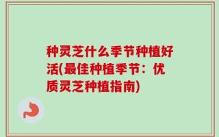 种灵芝什么季节种植好活(最佳种植季节：优质灵芝种植指南)