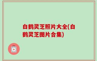 白鹤灵芝照片大全(白鹤灵芝图片合集)