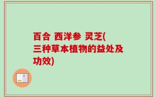 百合 西洋参 灵芝(三种草本植物的益处及功效)
