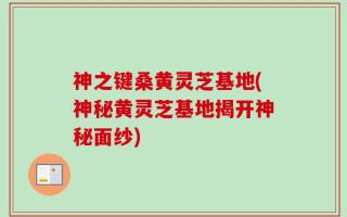 神之键桑黄灵芝基地(神秘黄灵芝基地揭开神秘面纱)