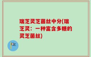瑞芝灵芝菌丝中分(瑞芝灵：一种富含多糖的灵芝菌丝)