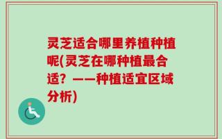 灵芝适合哪里养植种植呢(灵芝在哪种植最合适？——种植适宜区域分析)