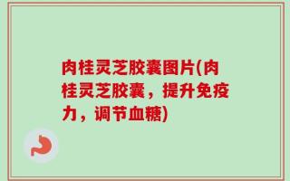 肉桂灵芝胶囊图片(肉桂灵芝胶囊，提升免疫力，调节血糖)