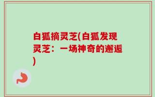 白狐摘灵芝(白狐发现灵芝：一场神奇的邂逅)