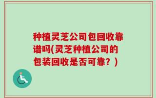 种植灵芝公司包回收靠谱吗(灵芝种植公司的包装回收是否可靠？)