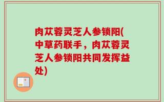 肉苁蓉灵芝人参锁阳(中草药联手，肉苁蓉灵芝人参锁阳共同发挥益处)