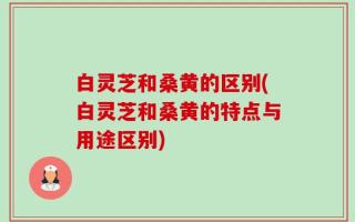 白灵芝和桑黄的区别(白灵芝和桑黄的特点与用途区别)