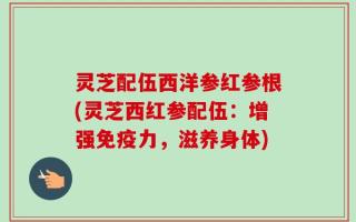 灵芝配伍西洋参红参根(灵芝西红参配伍：增强免疫力，滋养身体)