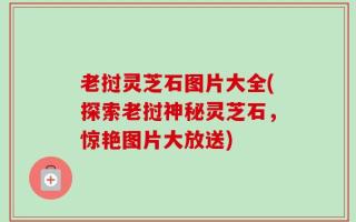 老挝灵芝石图片大全(探索老挝神秘灵芝石，惊艳图片大放送)