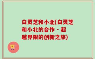 白灵芝和小北(白灵芝和小北的合作 - 超越界限的创新之旅)