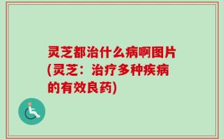灵芝都治什么病啊图片(灵芝：治疗多种疾病的有效良药)