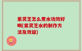 紫灵芝怎么煮水功效好喝(紫灵芝水的制作方法及效益)