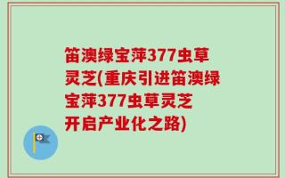 笛澳绿宝萍377虫草灵芝(重庆引进笛澳绿宝萍377虫草灵芝 开启产业化之路)