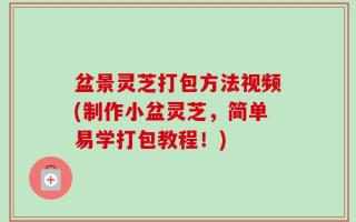盆景灵芝打包方法视频(制作小盆灵芝，简单易学打包教程！)