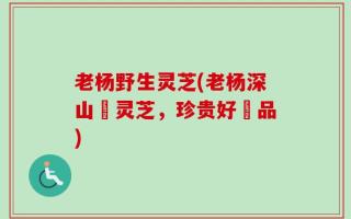 老杨野生灵芝(老杨深山採灵芝，珍贵好癒品)