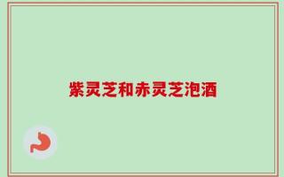 紫灵芝和赤灵芝泡酒