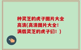 种灵芝的虎子图片大全高清(高清图片大全！满载灵芝的虎子们！)