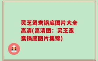 灵芝鸳鸯锅底图片大全高清(高清图：灵芝鸳鸯锅底图片集锦)