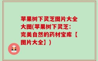 苹果树下灵芝图片大全大图(苹果树下灵芝：完美自然的药材宝库【图片大全】)