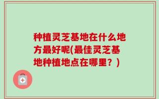 种植灵芝基地在什么地方最好呢(最佳灵芝基地种植地点在哪里？)