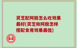灵芝配阿胶怎么吃效果最好(灵芝和阿胶怎样搭配食用效果最佳)