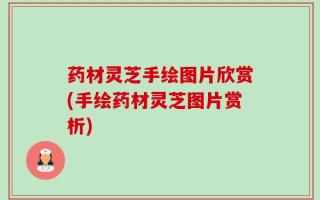 药材灵芝手绘图片欣赏(手绘药材灵芝图片赏析)