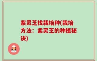 紫灵芝找栽培种(栽培方法：紫灵芝的种植秘诀)