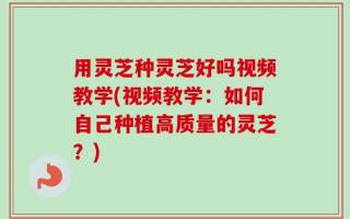 用灵芝种灵芝好吗视频教学(视频教学：如何自己种植高质量的灵芝？)