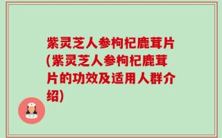 紫灵芝人参枸杞鹿茸片(紫灵芝人参枸杞鹿茸片的功效及适用人群介绍)