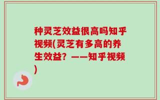种灵芝效益很高吗知乎视频(灵芝有多高的养生效益？——知乎视频)