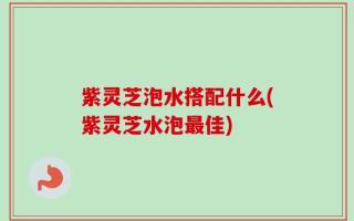 紫灵芝泡水搭配什么(紫灵芝水泡最佳)